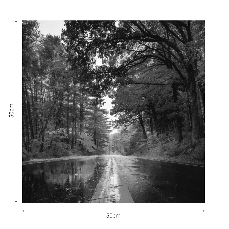 Πίνακας σε καμβά Savgone pakoworld ψηφιακής εκτύπωσης 50x1.8x50εκ Πίνακας σε καμβά Savgone pakoworld ψηφιακής εκτύπωσης 50x1.8x50εκ - Image 2