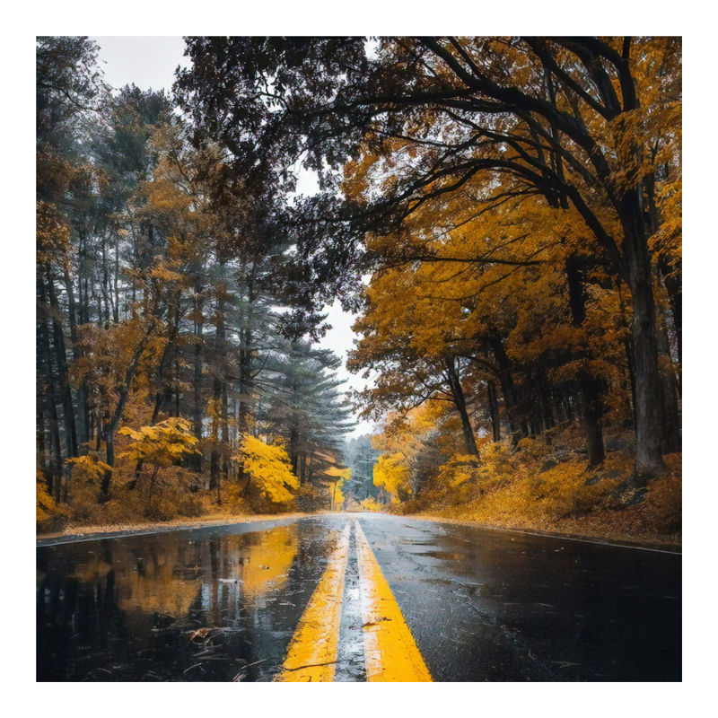 Πίνακας σε καμβά Savgone pakoworld ψηφιακής εκτύπωσης 50x1.8x50εκ Πίνακας σε καμβά Savgone pakoworld ψηφιακής εκτύπωσης 50x1.8x50εκ