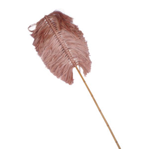 Διακοσμητικό Flerry haroma ψαθα σε φυσική απόχρωση 20x200x8εκ