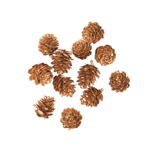 Beauty Home 12 Κουκουνάρια Χρυσά 2 cm Beauty Home 12 Κουκουνάρια Χρυσά 2 cm