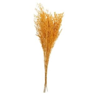 Beauty Home ΑΠΟΞΗΡΑΜΕΝΟ ΣΑΦΡΑΝ