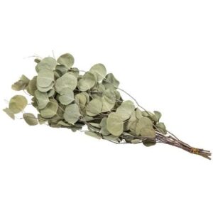 Beauty Home ΑΠΟΞΗΡΑΜΕΝΟΣ ΕΥΚΑΛΥΠΤΟΣ 120 GR