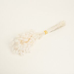 Beauty Home ΓΑΤΑΚΙΑ LAGURUS ΜΙΝΙ ΠΕΡΙΠΟΥ 100 ΤΜΧ