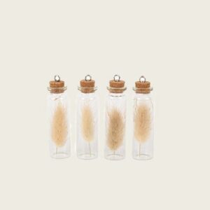 Beauty Home ΓΥΑΛΙΝΟΣ ΣΩΛΗΝΑΣ ΜΕ ΑΠΟΞΗΡΑΜΕΝΑ LAGURUS ΣΕΤ 4 ΤΜΧ ΕΚΡΟΥ 8 x 2 cm