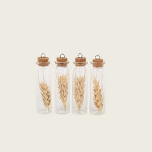 Beauty Home ΓΥΑΛΙΝΟΣ ΣΩΛΗΝΑΣ ΜΕ ΑΠΟΞΗΡΑΜΕΝΟ ΣΤΑΧΙ ΣΕΤ 4 ΤΜΧ 8 x 2 cm