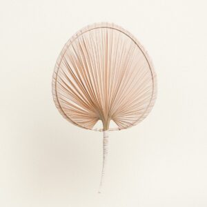 Beauty Home ΔΙΑΚΟΣΜΗΤΙΚΟ ΦΥΛΛΟ ΠΑΛΜΑ 67 X 41 CM