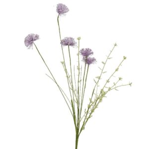 Beauty Home ΛΟΥΛΟΥΔΙ  60cm