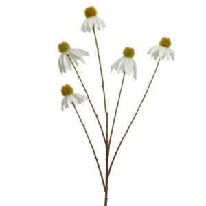 Beauty Home ΜΑΡΓΑΡΙΤΑ ΛΕΥΚΟ