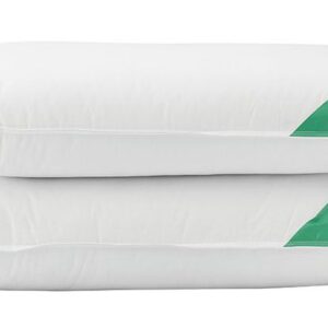 Beauty Home Μαξιλάρι ύπνου με Aloe Vera Art 4002 Μέτριο 50x70 Λευκό