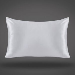 Beauty Home Μεταξωτή μαξιλαροθήκη σε κουτί δώρου Art 12043 50x70 Ασημί