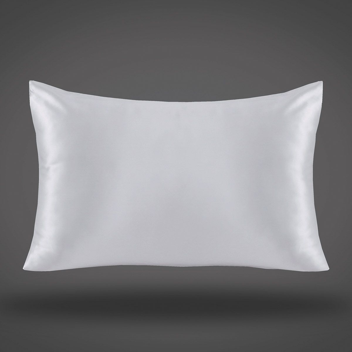 Beauty Home Μεταξωτή μαξιλαροθήκη σε κουτί δώρου Art 12043 50x70 Ασημί Beauty Home Μεταξωτή μαξιλαροθήκη σε κουτί δώρου Art 12043 50x70 Ασημί