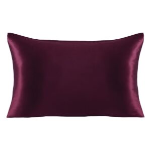 Beauty Home Μεταξωτή μαξιλαροθήκη σε κουτί δώρου Art 12046 50x70 Μπορντό