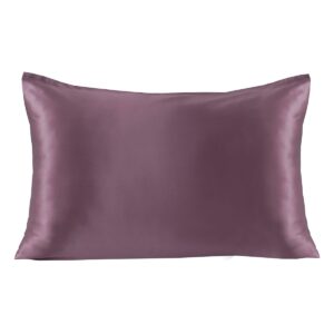 Beauty Home Μεταξωτή μαξιλαροθήκη σε κουτί δώρου Art 12047 50x70 Σάπιο μήλο