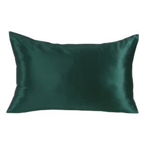 Beauty Home Μεταξωτή μαξιλαροθήκη σε κουτί δώρου Art 12176 50x70 Σμαραγδί