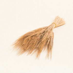 Beauty Home ΣΤΑΧΥ