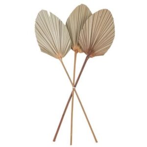 Beauty Home ΦΥΛΛΑ ΠΑΛΜΑ ΣΕΤ 3 ΤΜΧ 60 x 15 cm