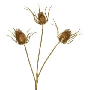 Beauty Home ΧΡΥΣΟ ΛΟΥΛΟΥΔΙ  34x13x87cm