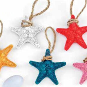 ΜΠΟΜΠΟΝΙΕΡΑ ΑΣΤΕΡΙΑΣ PVC 5 ΧΡΩΜΑΤΩΝ 4.3Υ