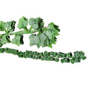 Κισσός Αναρριχώμενος σετ=12x2