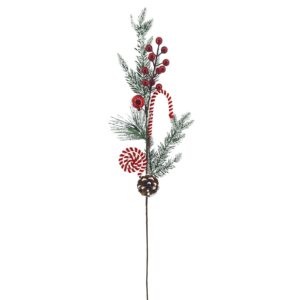 Κλαδί με Γλειφιτζούρι