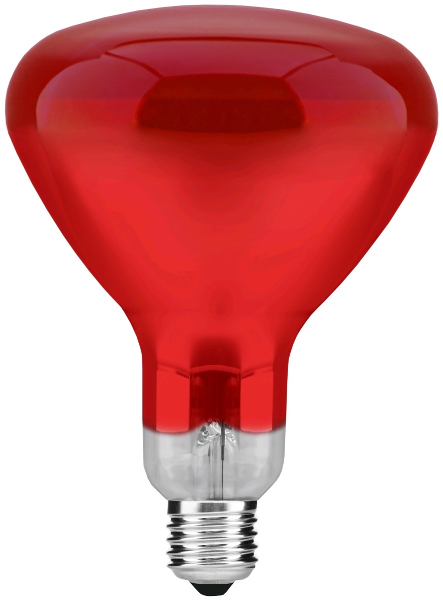 Avide Λάμπα Υπερύθρων E27 100W Full Κόκκινο Avide Λάμπα Υπερύθρων E27 100W Full Κόκκινο - Image 2