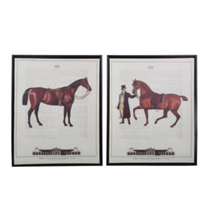 ΚΑΔΡΟ Fylliana BROWN HORSE 1/2 40x50εκ