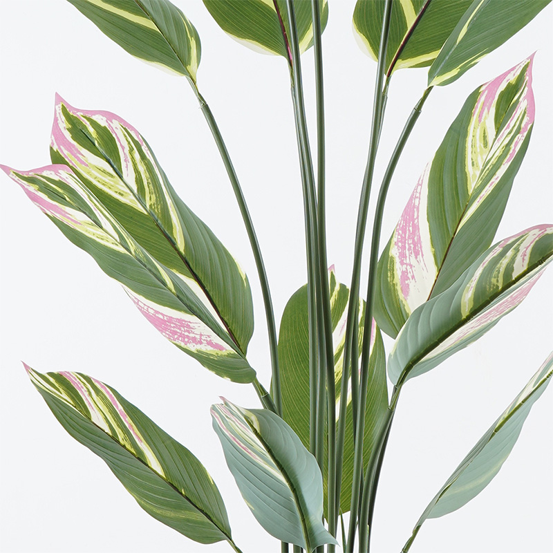 Διακοσμητικό φυτό σε γλάστρα Aglaonema Inart πράσινο Φ80x150εκ Διακοσμητικό φυτό σε γλάστρα Aglaonema Inart πράσινο Φ80x150εκ - Image 2