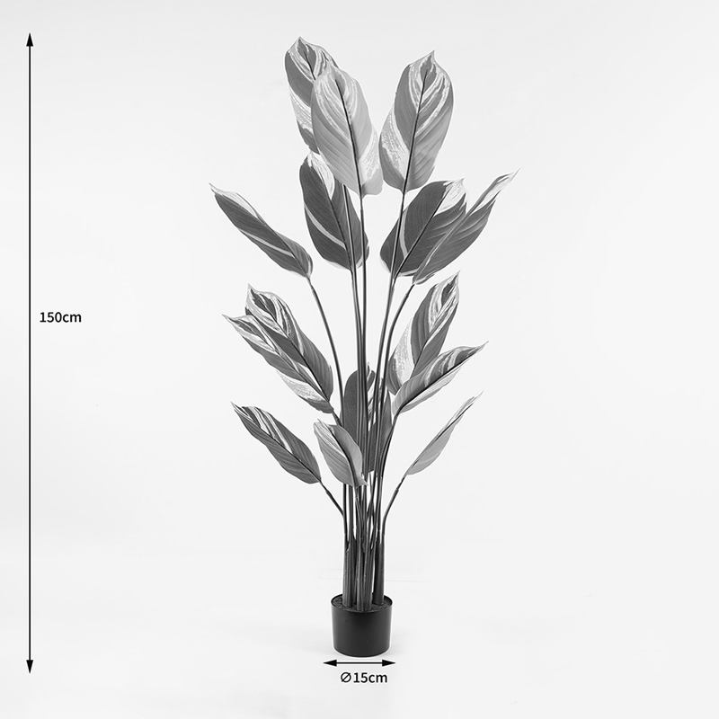 Διακοσμητικό φυτό σε γλάστρα Aglaonema Inart πράσινο Φ80x150εκ Διακοσμητικό φυτό σε γλάστρα Aglaonema Inart πράσινο Φ80x150εκ - Image 4