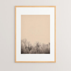 Πίνακας Quany pakoworld με ψηφιακή εκτύπωση και πλαίσιο 33x1.5x48εκ