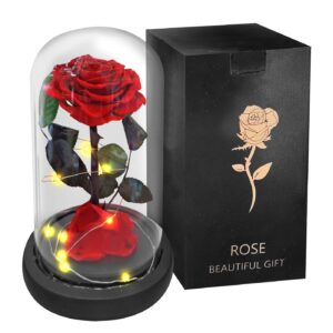 Παντοτινό Τριαντάφυλλο σε Γυάλα 22x14cm Homie 423030