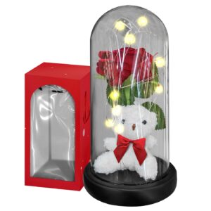 Αρκούδος με Τριαντάφυλλο σε Γυάλα με φως 22x11cm Homie 423110