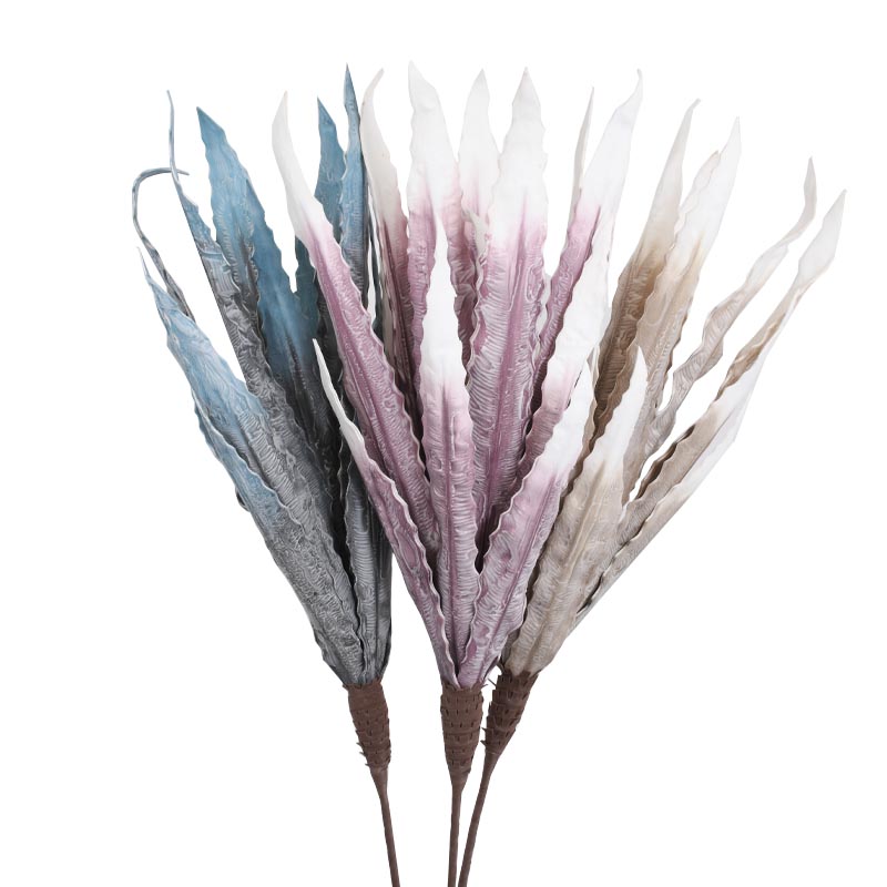 ΛΟΥΛΟΥΔΙ Fylliana ΜΕ ΜΕΓΑΛΑ ΦΥΛΛΑ 7260 ΔΙΑΦΟΡΑ ΧΡΩΜΑΤΑ ΛΟΥΛΟΥΔΙ Fylliana ΜΕ ΜΕΓΑΛΑ ΦΥΛΛΑ 7260 ΔΙΑΦΟΡΑ ΧΡΩΜΑΤΑ