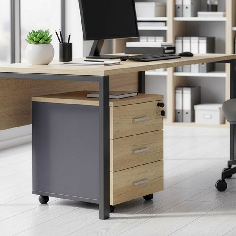 Συρταριέρα τροχήλατη Lotus pakoworld 3ων συρταριών φυσικό-ανθρακί χρώμα 40x47x55εκ Συρταριέρα τροχήλατη Lotus pakoworld 3ων συρταριών φυσικό-ανθρακί χρώμα 40x47x55εκ - Image 2