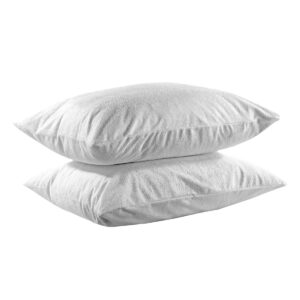 Home 02 - Default Home 02 - Default